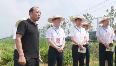 市人大代表南漳县第一小组到九集镇调研乡村振兴工作