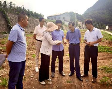 县领导督办长坪镇产业发展及基础设施建设推进工作
