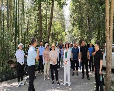 走进宜昌学先进  全县乡村旅游发展暨村庄景区化工程建设推进会召开