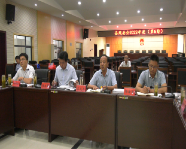 县规委会2022年（第五期）会议召开