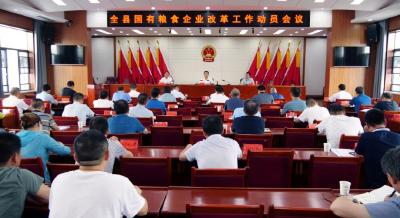 陈栋：扎实做好国有资产整合，全力推动国有粮食企业改革