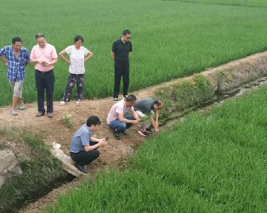 南漳县农技中心：田间地头“会诊”　真心实意解忧