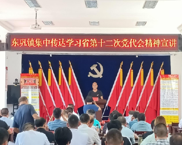东巩镇专题传达学习省第十二次党代会精神