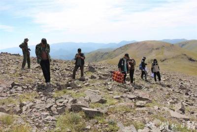 【热点关注】湖北科研人员在新疆博州发现20种植物新记录种