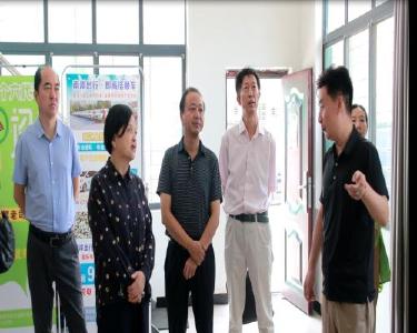 市领导到我县调研物流体系建设工作