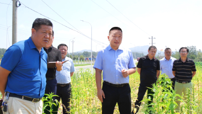 陈栋督办重点项目建设，现场办公解难题