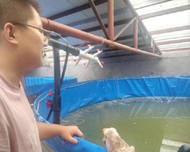 南漳县农技中心：上门指导对虾养殖技术  助力特色水产养殖发展
