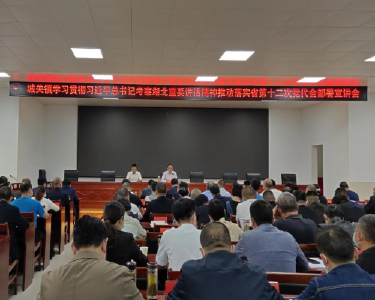 城关镇举办学习贯彻习近平总书记考察湖北重要讲话精神推动落实省第十二次党代会部署宣讲会