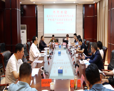 武汉光彩文旅集团、中国电建华中区域总部高层到我县洽谈项目合作事宜