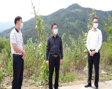 县领导调研农业产业化项目建设发展情况