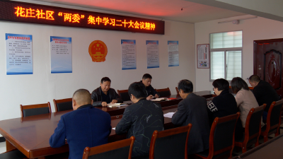 肖堰镇花庄社区：共话二十大 同筑振兴梦