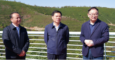 李诗到我县调研茶产业发展情况