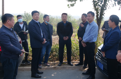 陈栋：大力消化处置批而未供供而未用土地，促进土地资源有效利用