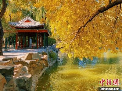 错峰赏秋景 北京市属公园推出30处彩叶观赏地