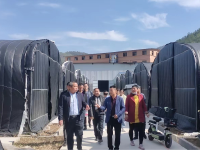 东巩镇组织开展第三季度人大代表小组活动