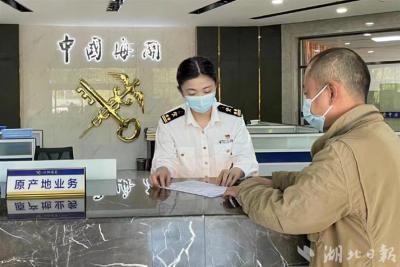 前三季度湖北近14亿元货物享受RCEP优惠