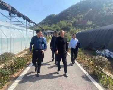 东巩镇铁家垭村全力打造共同缔造“样板点”