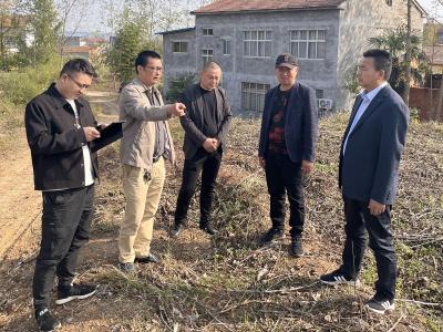 南漳：核查油茶新建面积　助推油茶产业发展