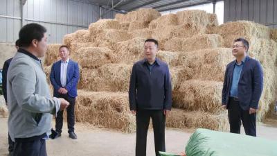 陈栋：以更实举措巩固拓展脱贫攻坚成果，全面推进乡村振兴