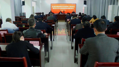 我县召开扫黑除恶斗争领导小组会议暨三大行业领域整治部署会