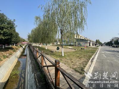 南漳赵家营村：共同缔造聚群力 乡村治理解难题 