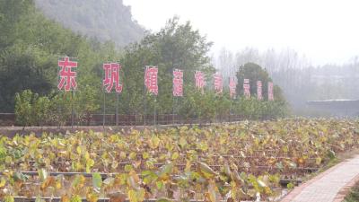 南漳：共谋、共建、共管 让“富余劳动力”变“富裕新动力”