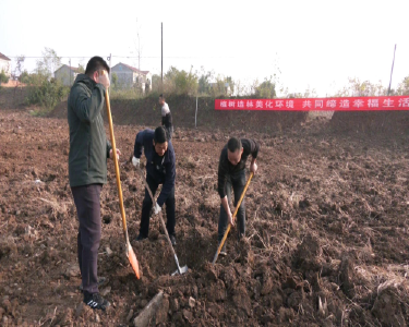 县林业局开展植树活动为“绿满南漳”建设“添砖加瓦”