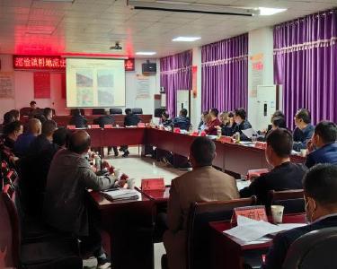 巡检镇：严守耕地保护红线  强力拆除违法建设