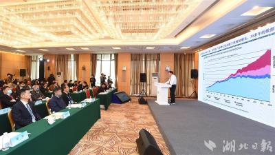 《湿地公约》第十四届缔约方大会长江大保护论坛在汉举行