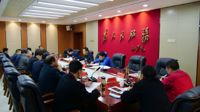 陈栋：以非常之举加速推进龙蟒公司项目建设