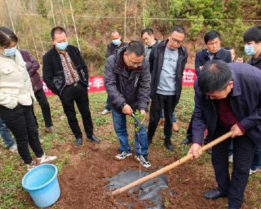 巡检镇开展油茶基地冬季管理培训