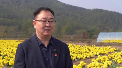 踔厉奋发、勇毅前行！全县干部群众深入学习贯彻党的二十大精神（十） 