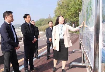 中国城市科学规划设计研究院院长方明到我县调研城市规划工作