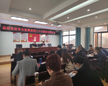南漳县商务局专题学习贯彻党的二十大精神