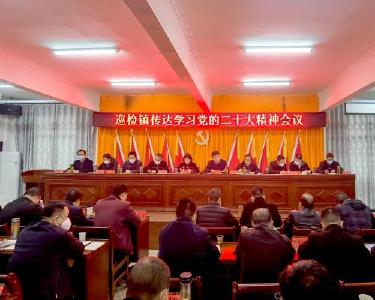 巡检镇集中传达学习党的二十大精神