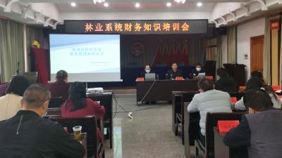 南漳县林业局以常态化培训规范财务管理
