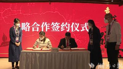  【热点关注】赤壁青砖茶亮相第五届中国国际进口博览会