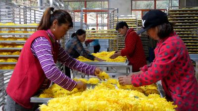 湖北南漳：农产品加工交易中心助力乡村振兴
