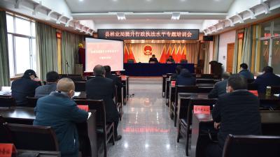 南漳县林业局开展提升行政执法水平专题培训