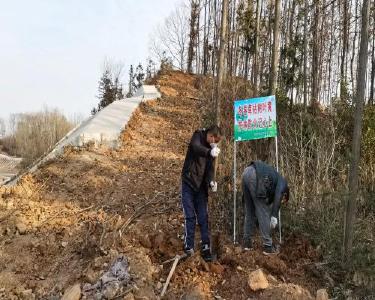 武安镇积极营造森林防火宣传氛围