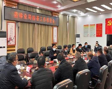 南漳县林业局督办推进油茶扩面提质增效行动