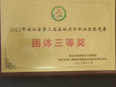 南漳县代表襄阳市参加全省森林消防职业技能竞赛荣获三块奖牌