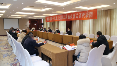 陈栋参加县第十九届人民代表大会第二次会议城关镇代表团分组审议
