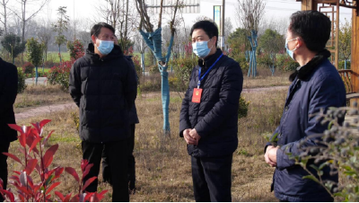 县人大常委会视察“绿满南漳”三年提升行动实施情况
