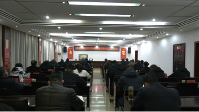 南漳县组织收听收看省市2023年春运电视电话会议