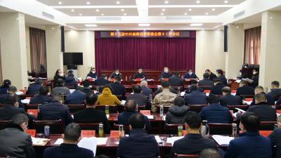 罗兴斌在县委常委会会议上强调：坚持“两个毫不动摇” ，高效推动民营经济高质量发展
