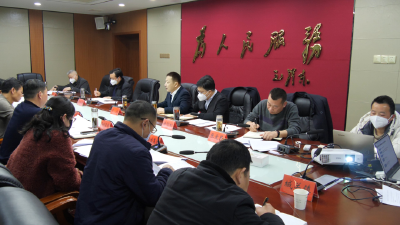 陈栋：科学谋划城建城管项目，着力打造宜居宜业宜游的高品质生活空间 