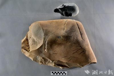 【热点关注】湖北新发现30处旧石器时代文物点
