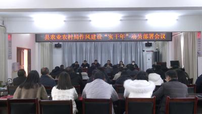 县农业农村局作风建设“实干年”动员部署会召开