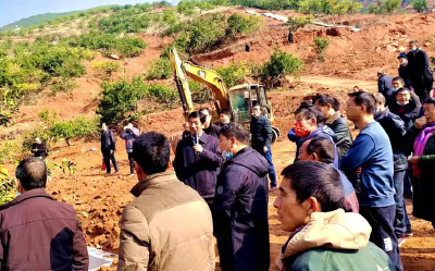 南漳：专家团队科技赋能“峡口柑橘”做优做强 